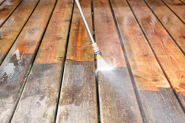 Best Fence Pressure Washing  in Demorest, GA