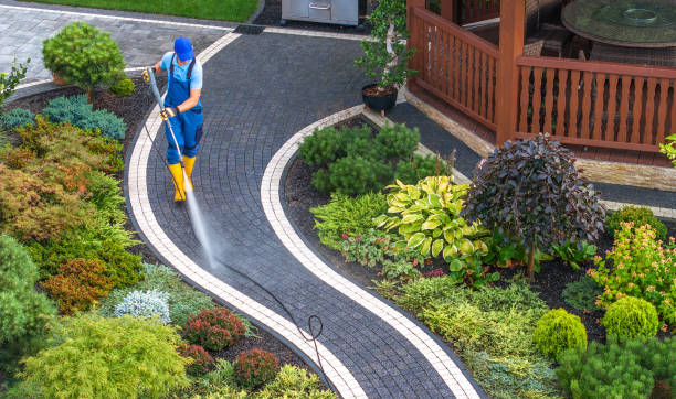  Demorest, GA Pressure Washing Pros
