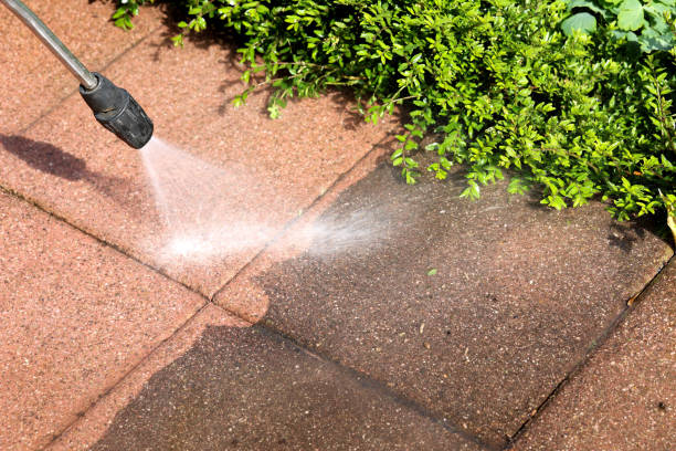 Best Roof Power Washing Services  in Demorest, GA